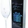 Dartington Glitz Champagne Flute -Homeware Shop 23302 20066